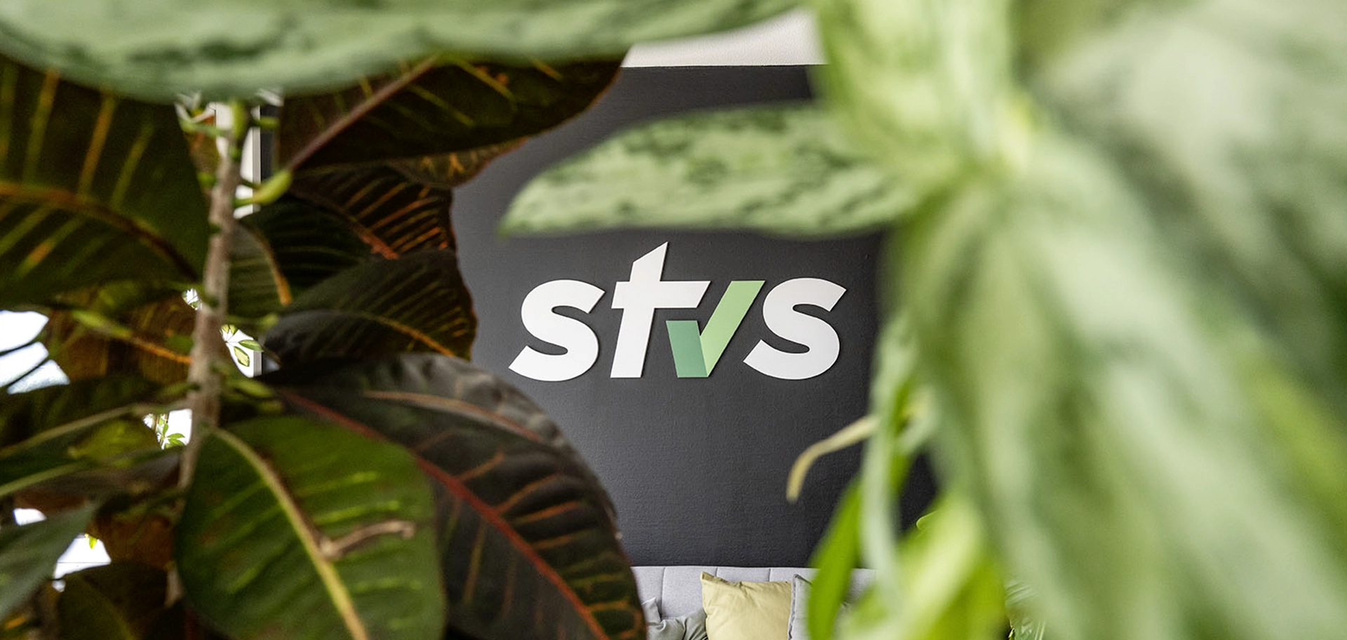 STVS