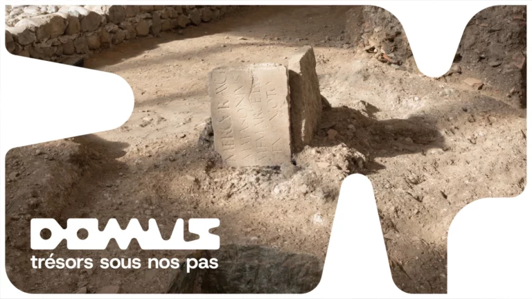 domus couverture design