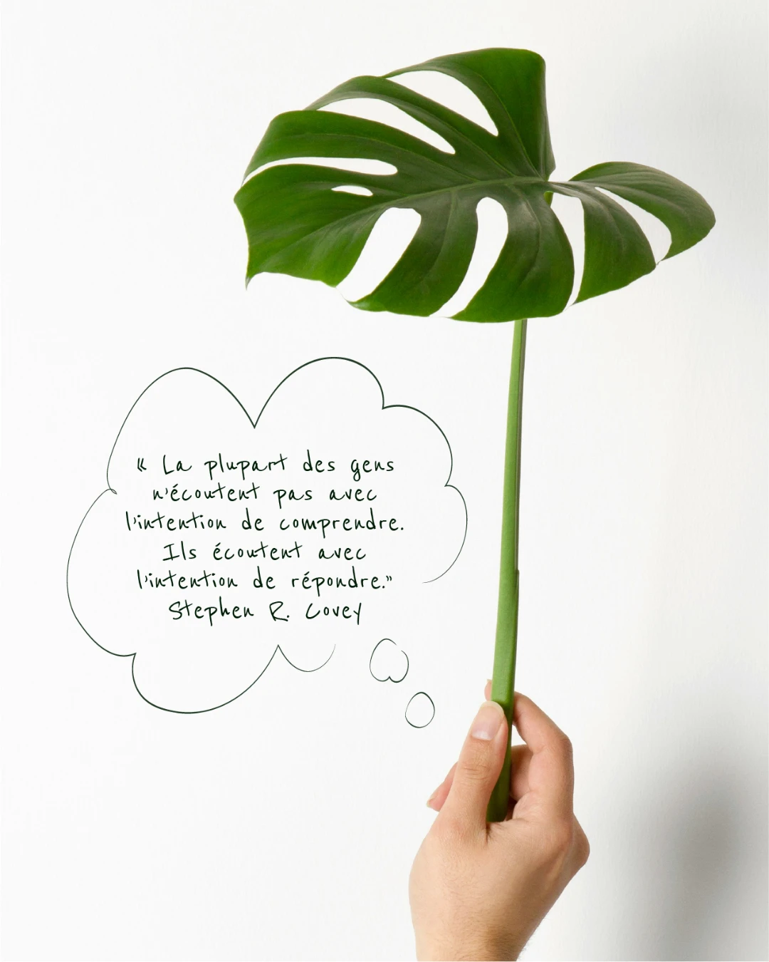 citation et éléments graphiques sur photo