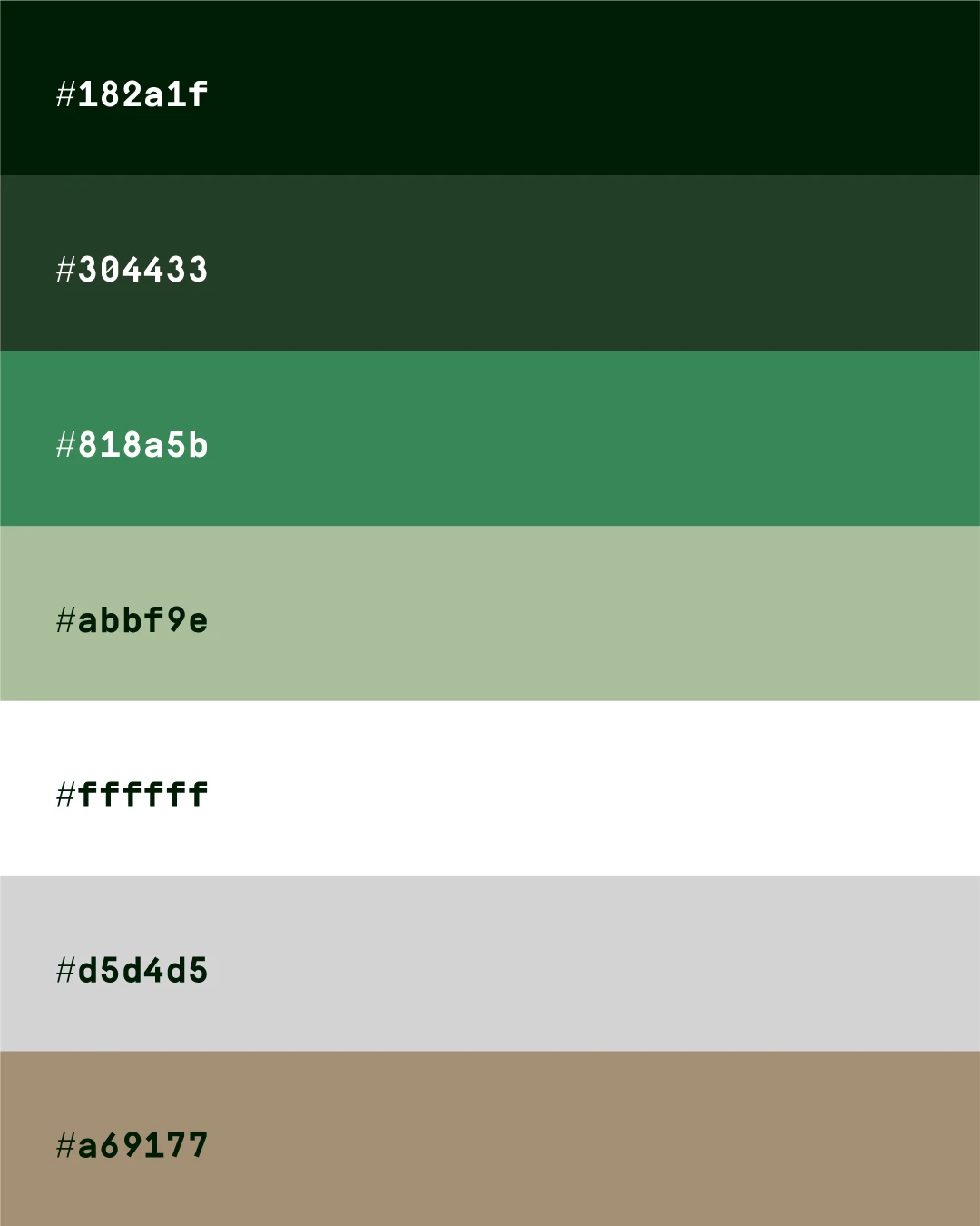 charte graphique couleurs